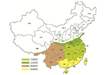 Four Tea-producing Areas in China